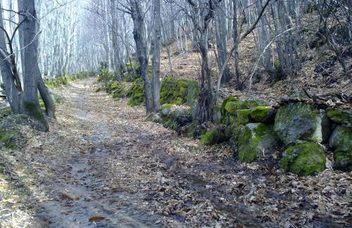 La Casa del Telar - Foto 33