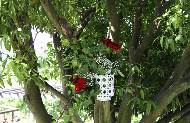 Casa Valxisto Country House - Foto 78