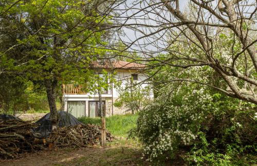 Casa da Eira "Lavoura da Bouça - Fruta Bio" - Foto 50