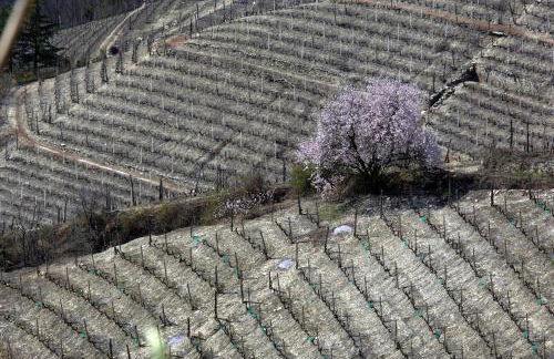 Cascina Arcangelo Raffaele - Foto 58