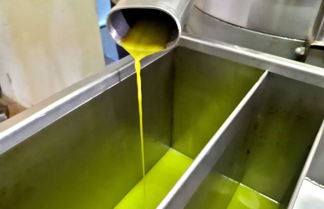 Agriturismo Antico Borgo Poggitazzi - Foto 57