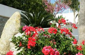 Villa Anna Maria - Foto 65