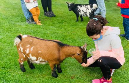 Apartamentos La Quintana de Romillo - Photo 6