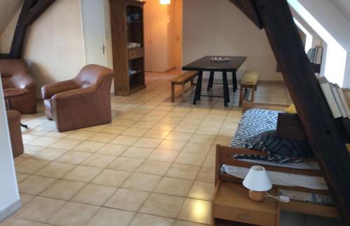 Appartement spacieux et lumineux au centre ville - Foto 3