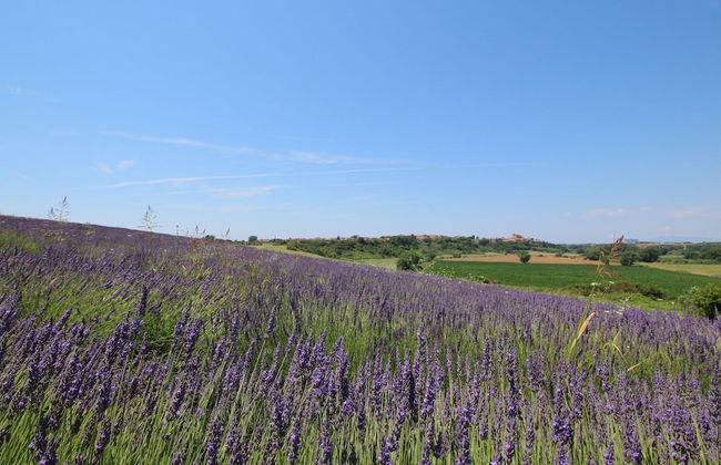 Farmhouse in Montalto Near Sandy Beach - Foto 27