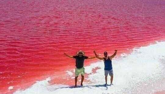Tour de 2 días por Manaure y el Santuario Los Flamencos - Foto 4, Aguas de color rojo