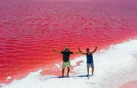 Tour de 2 días por Manaure y el Santuario Los Flamencos - Foto 4