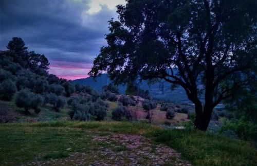 Mesoncillo NEO - Foto 11