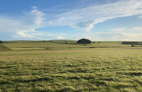 Eclectic Barn - Pergola & Dog-Friendly Garden - Photo 72