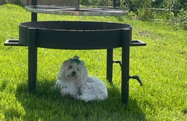 Okno na Jurę - Foto 32