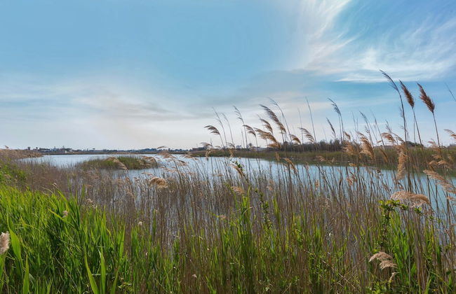 2293 Villetta Mare Bello by Barbarhouse - Foto 22