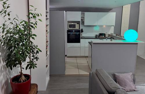 Meublé premium Maryline T2 65 m2 - Foto 6