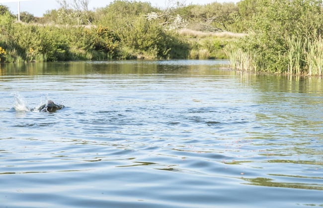 Fern Cottage - 1 Bedroom - Tiers Cross - Foto 41