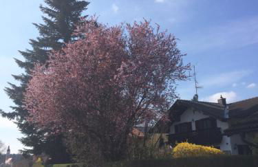 Appartement Am Goldbichl - Foto 26