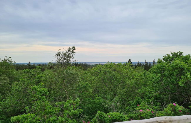 Holiday Home in Nørre Nebel - Foto 10