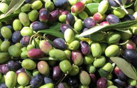 B&B Borgo San Antonio - Foto 50