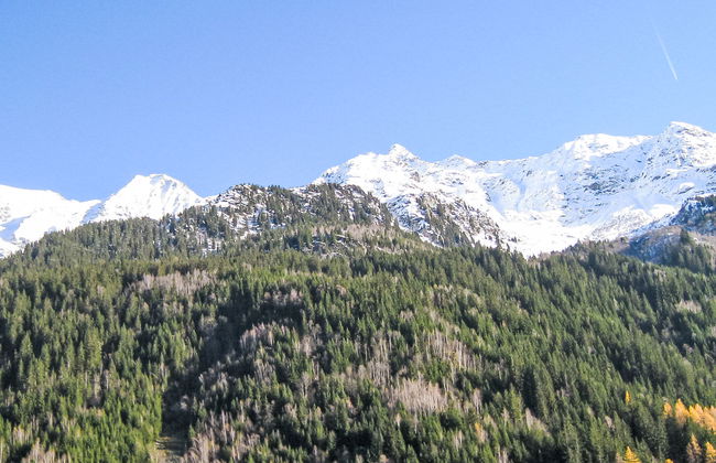 Le Brûlaz - Foto 15