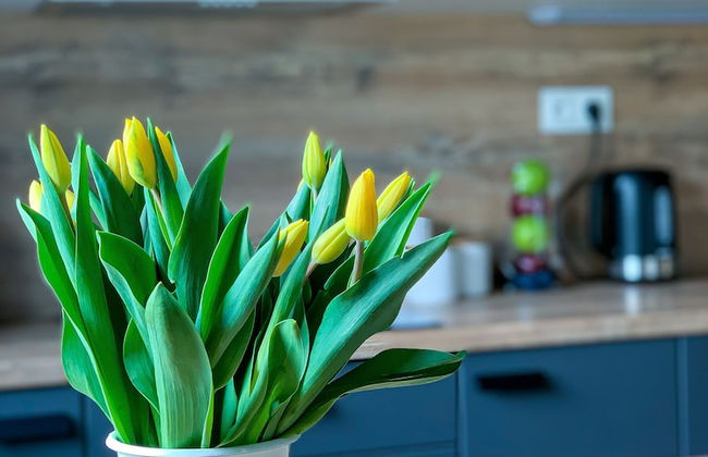 Apartamenty Szafirowa Mierzeja - 365PAM - Foto 55