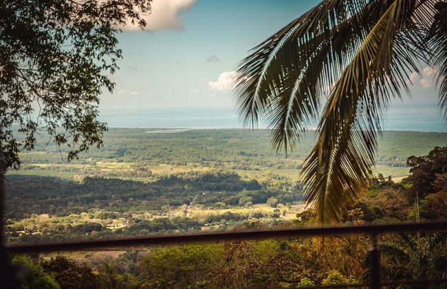 Arbórea Villas - Foto 74