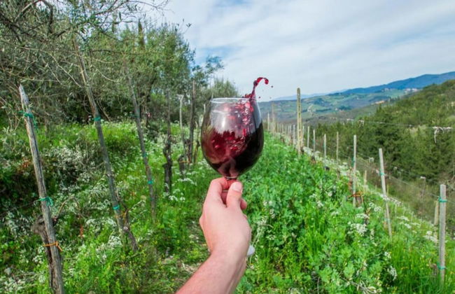 Golden Days in San Donato Home - Foto 28