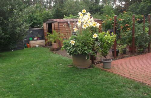 Haus am Wald - Foto 45