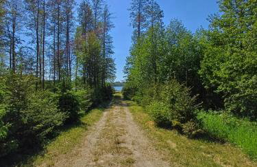 Szwałk Borecka - z sauną i balią, nad jeziorem - Foto 27