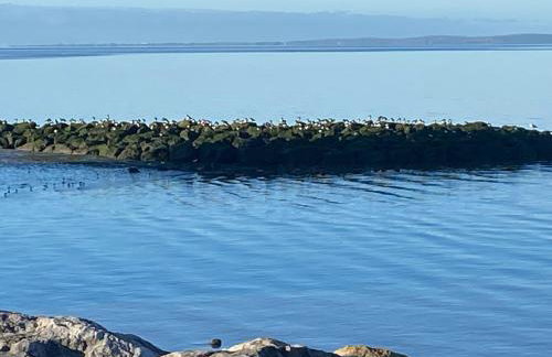 Stylish Apartments near the sea front at Morecambe - Foto 19