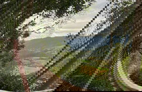 Audaz Hotel Boutique - Photo 6