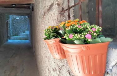 The Voltina - Foto 5