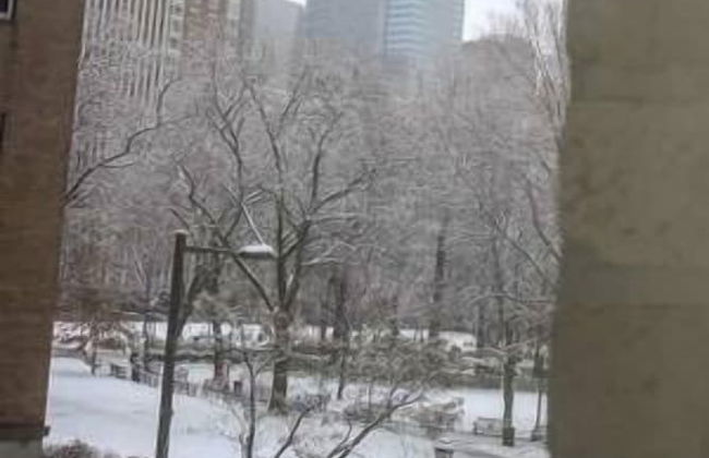 Renaissance Properties - W Rittenhouse Sq - Photo 23