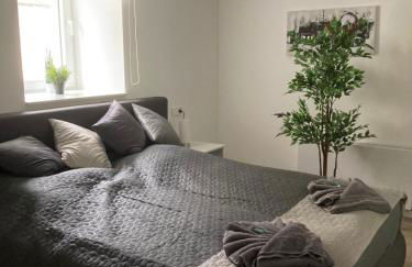 FeWoMo Stilvolles EG Appartment, Brauneberg, 4 Pers, Boots Slipanlage, Moselradweg, Seniorengerecht - Foto 19