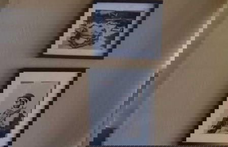 Natures Green Resort and Spa - Foto 46