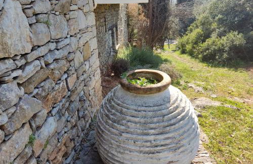 Lito's dream villa by the sea! - Photo 76