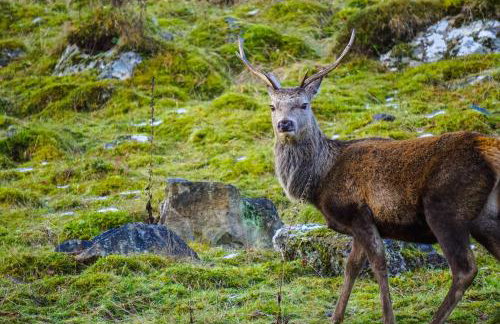 West Horizon holiday cottage - Foto 40