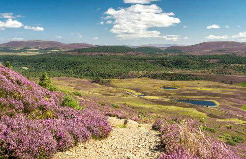 Ardle Lodge - Foto 10