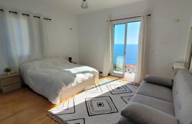 Maison avec vue exceptionnelle sur l'océan - 5 mn du centre ville - Foto 19