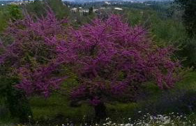 Villa Kardami -country house - Foto 61
