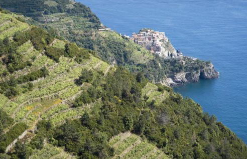 Nice Apartment In Magliano With Wifi - Foto 27