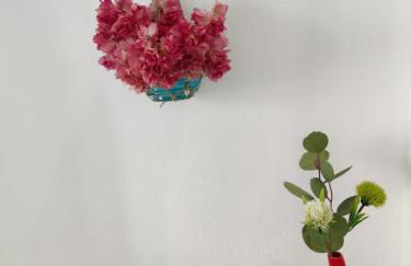 Drouga's Studios & Suites Astypalaia Greece - Foto 71