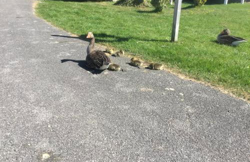 Tuscany Lodge - Photo 12