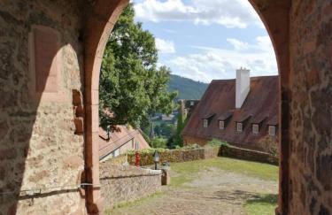 Zauberhafte Wohnung in der Nähe von Heidelberg, top Lage - Foto 46