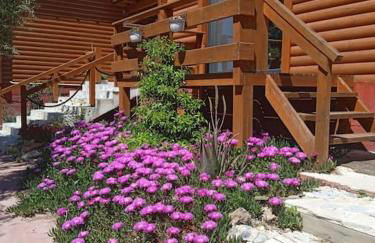 The lodge guest house - Foto 35