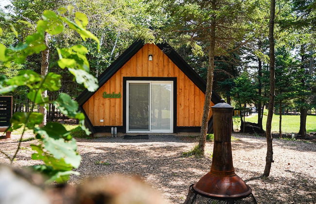 Wild Pines Cabins - Photo 4