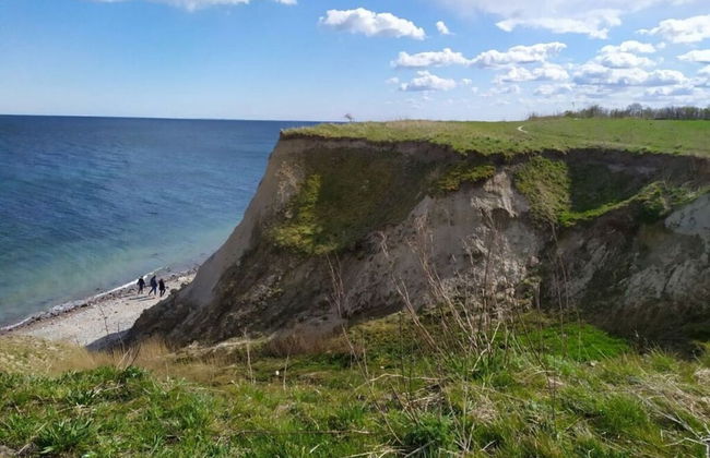 Farsighted Modern Retreat - Photo 19