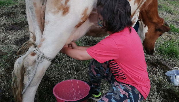 Tour in Fúquene - Foto 4
