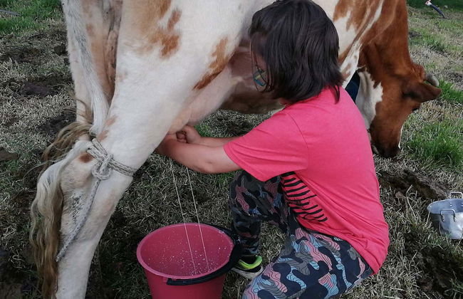 Tour in Fúquene - Foto 4