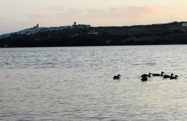 Una casa en el lago - Foto 52