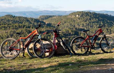 Villa Napoléon Piscine&Jacuzzi - Foto 52