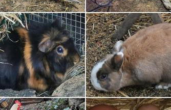 BELLE VILLA Piscine 120 m2, 8 pers, 3 belles chambres Près d'Aix-en-Provence - Foto 71