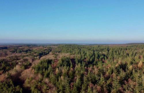 Urlaub mit Hund im Ferienhaus am Wingster Wald - Foto 6